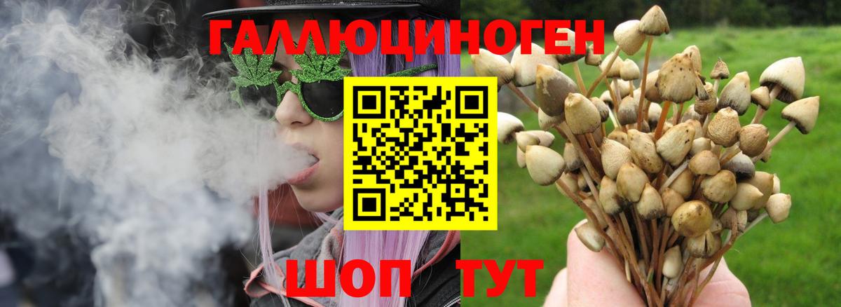 Псилоцибиновые грибы Magic Shrooms Куйбышев