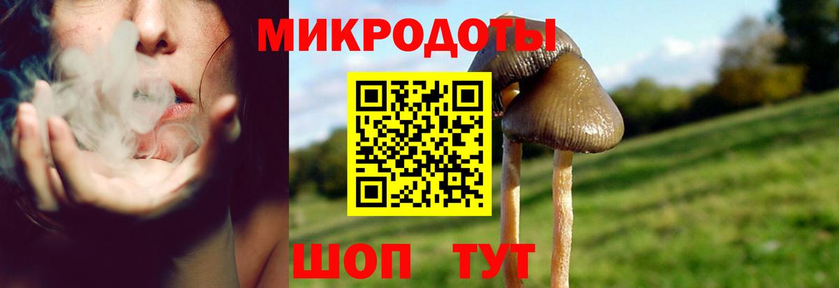 Псилоцибиновые грибы ЛСД  Галлюциногенные грибы Psilocybine cubensis  Куйбышев  Вход с VPN 